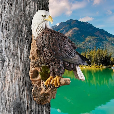 Design Toscano American Bald Eagle Bird of Prey Wall Sculpture JQ5900